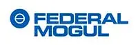 Federal Mogul